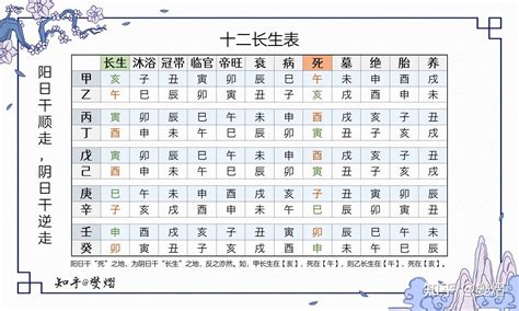 地支十二長生|八字十二長生解讀——長生